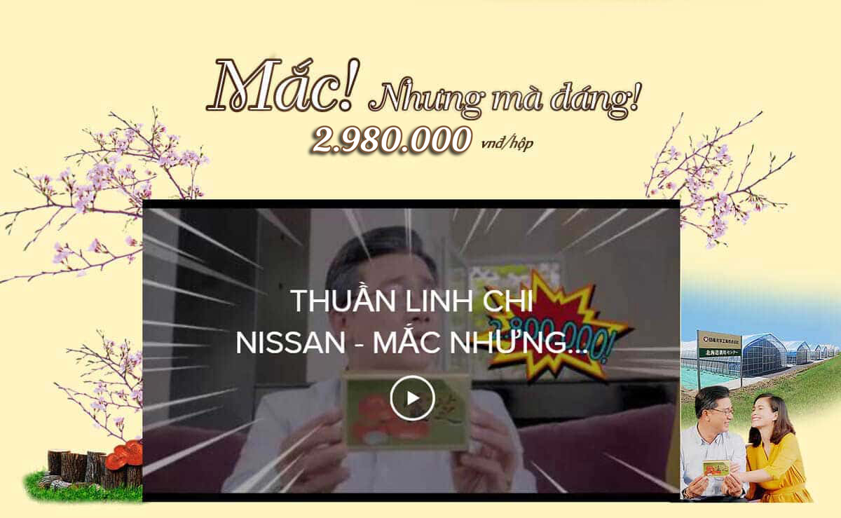 giới thiệu thuần linh chi Nissan